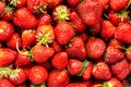 Close up of many strawberries