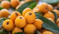 Close-up of many wet loquats. Selective focus.