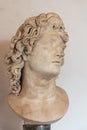 Close-up on marble bust of hairy handsome roman man