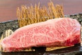 Close up marbled on fresh Japanese Kobe Matsusaka beef