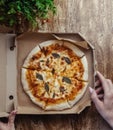 Close-up of Margarita pizza in a disposable dish. Top view of takeaway food in a fast food cafe. On photo - mozzarella cheese, Royalty Free Stock Photo