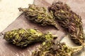 A close up of Marihuana buds. Alternative medicine, THC and CBD value and influence for health