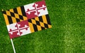 Close-up of Maryland flag against closed up view of grass
