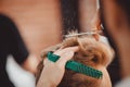 Close-up master hairdresser does hairstyle with scissors and comb. Concept Barbershop Royalty Free Stock Photo