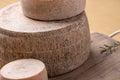 close up of maturated selection of cheese on old wood