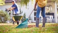 Close Up Of Mature Asian Couple Working In Garden At Home Raking And Tidying Leaves Into Barrow Royalty Free Stock Photo