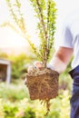 Close up of mature gardener showing plans in shop