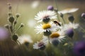 close-up of meadow flower, with bee and insect pollinators buzzing in the background Royalty Free Stock Photo