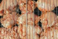 Close up of meat on barbecue grill. The process of frying chicken meat on the grid a barbecue. Spicy chicken meat, grid