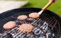 Close up of meat cutlets roasting on grill Royalty Free Stock Photo