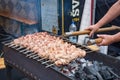 Close up of meat skewer, grilled in a barbecue, shashlik or shashlyk of pork for a pic nic