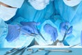Close up of medical team performing operation. Group of surgeons at work in operating theater Royalty Free Stock Photo