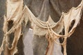 Close-up of medieval rags waving on the wall