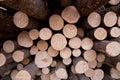 Close-up. Medium of wood in the timber yard. The cut larch lies in an open-air warehouse Royalty Free Stock Photo