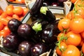 Close-up of mellow fresh home-grown eggplants and tomatoes in carton boxes Royalty Free Stock Photo