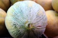 Close up of melons. Texture of melon peel Royalty Free Stock Photo