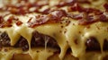 Close-up melted cheese, bacon, and burger in kitchen Royalty Free Stock Photo