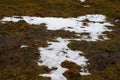 Close-up of melting snow in spring.