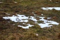 Close-up of melting snow in spring.