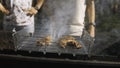 Close-up of men frying chicken on grill in forest. Stock footage. Delicious grilled chicken with barbecue on sunny