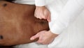 Close up of man hands massaging male abdomen on white background, copy space. Therapist applying pressure on belly.