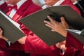 Mens choir performing in a cathedral Royalty Free Stock Photo