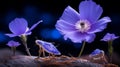 Close-up of mesmerizing fantastic blue flower blooming in the enchanting nighttime forest scenery