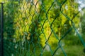 Close up of metal chain-link in the garden. Diamond mesh wire fence on blurred green background. Iron grating net at summer