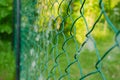 Close up of metal chain-link in the garden. Diamond mesh wire fence on blurred green background. Iron grating net at summer