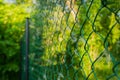 Close up of metal chain-link in the garden. Diamond mesh wire fence on blurred green background. Iron grating net at summer