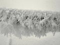 Close-up of a metal fence covered with beautiful frost. Leningrad region. Royalty Free Stock Photo
