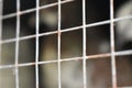 Rusty steel wire mesh fence. Selective focus and blurred background Royalty Free Stock Photo