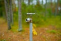 Close-up of a metal water faucet. Water valve on the forest in the background. Water scarcity concept. Royalty Free Stock Photo