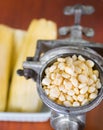 A close up from a metalic mill with some corn kernels Royalty Free Stock Photo