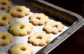 Close up of metallic baking tin with canestrelli biscuits Royalty Free Stock Photo