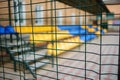 Close up metallic net-shaped fence from wire on a background of empty blue and yellow sports seats of the grand stand Royalty Free Stock Photo