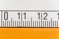 Metric measure