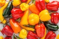 Close up of mexican chili peppers habanero, baby mix, flat lay,