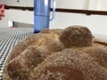 Close up of a mexican pan de muerto bread typical of the Day of the Dead celebration