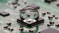 A close-up of a microchip on a green printed circuit board PCB Royalty Free Stock Photo