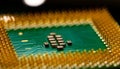 Close up of microchips and pins on Main CPU PC processor circuit board