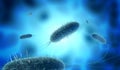 Close up of microscopic bacteria Royalty Free Stock Photo