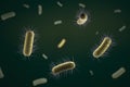 Close up of microscopic bacteria , 3d illustration