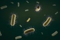 Close up of microscopic bacteria , 3d illustration Royalty Free Stock Photo