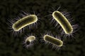 Close up of microscopic bacteria , 3d illustration Royalty Free Stock Photo