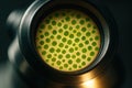 Close-up microscopic view of green microalgae colonies arranged in circular patterns under magnification in a laboratory Royalty Free Stock Photo