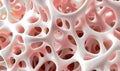 Close-up Microscopic View of Healthy Bone Trabeculae Royalty Free Stock Photo