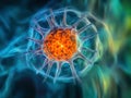 Close-up microscopic view of a single bacterial cell with round head and slender flagella, likely captured using