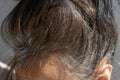 Close up of middle age caucasian woman with dark brown hair and regrown gray hair roots