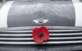 Close up of mini cooper with a plastic poppy appeal flower attached on front grill.